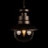 Уличный подвесной светильник Loft IT Piemonte 100022P