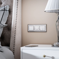 Выключатель двухклавишный с подсветкой белый WL01-SW-2G-LED Werkel