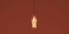 Подвесной светильник Freya Curl FR5624PL-L9YW