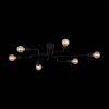 Потолочная люстра ST Luce Ano SL419.442.06