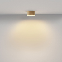 Накладной светильник Maytoni Zon C032CL-12W2.7K-RD-MG