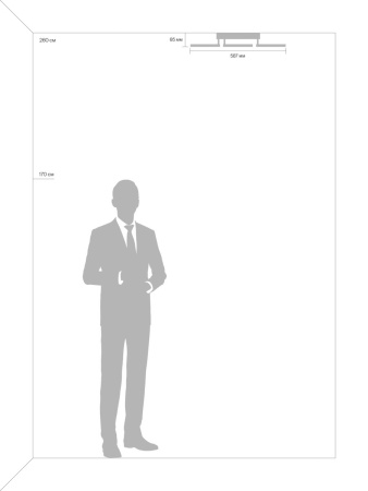 Потолочный светильник Freya Bodge FR10017CL-L92W