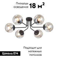 Потолочная люстра Vitaluce V4998-1/6PL