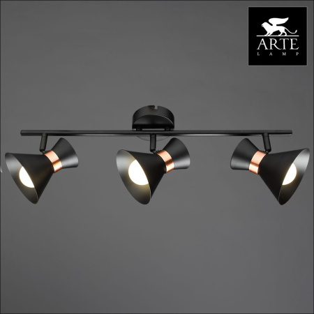 Спот Arte Lamp Baltimore A1406PL-3BK