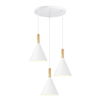 Подвесной светильник Evoluce Arket SLE1255-513-03