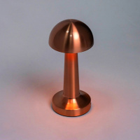 Настольная лампа Escada Evo 10257/L LED