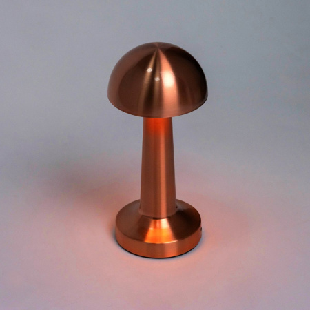 Настольная лампа Escada Evo 10257/L LED