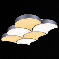 Потолочная люстра Reluce 01218-0.3-06LED