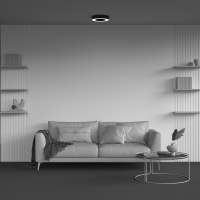 Потолочный светильник Maytoni Lua C093CL-24W3K-B