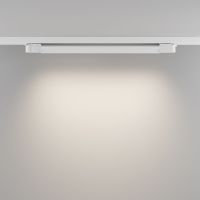 Трековый трехфазный светильник Maytoni Technical Basis TR196-3-20W4K-W(N)