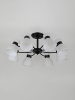 Люстра на штанге Rivoli Aemilia 9185-308 Б0069950