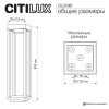 Ландшафтный светильник Citilux Genox CLU13B