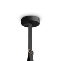Подвесной светильник Freya Aurum FR5471PL-L12B