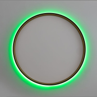 Потолочный светильник Citilux Etalon CL750401R