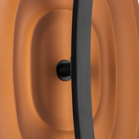 Настенный светильник Lightstar Erica 609641