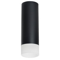 Накладной светильник Lightstar Rullo R48731 (214487+202431)