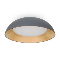 Потолочный светильник Freya Moonlight FR5277CL-L72GR