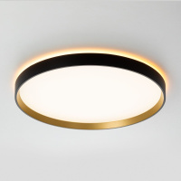 Потолочный светильник Citilux Etalon CL750401R