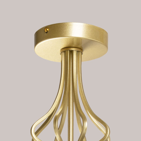 Потолочная люстра De Markt Дэла 635016005