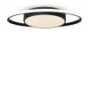 Потолочная люстра Freya Cosmic FR10015CL-L62B