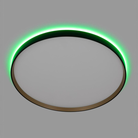 Потолочный светильник Citilux Etalon CL750501R