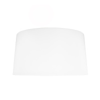 Потолочный светильник Loft IT Duo 10360L White