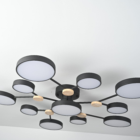 Люстра на штанге ImperiumLoft Gamma 223770-23