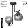 Потолочная люстра Vitaluce V4949-1/2PL