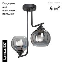Потолочная люстра Vitaluce V4949-1/2PL