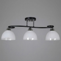 Потолочный светильник Reluce 66360-0.3-03 BK+CR