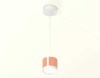 Комплект подвесного светильника Ambrella light Techno Spot XP (A2331, C8122, N8112) XP8122011