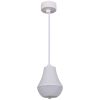 Подвесной светильник Reluce 16007-0.9-001IL E27 WT