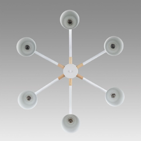 Люстра на штанге Lumion Rosalina 8097/6C