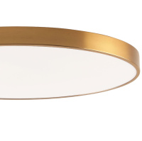 Потолочный светильник Zortes Tortty ZRS.02566.120