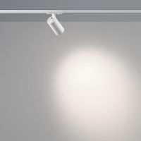 Трековый однофазный двухжильный светильник Novotech Port Selene 359902