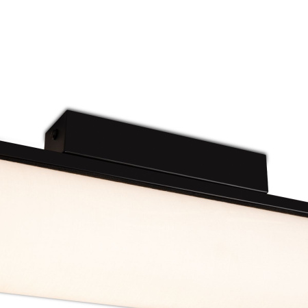 Потолочный светильник Freya Even FR5625CL-L20B