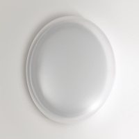 Настенно-потолочный светильник Sonex Pale Jolly 7776/DLN