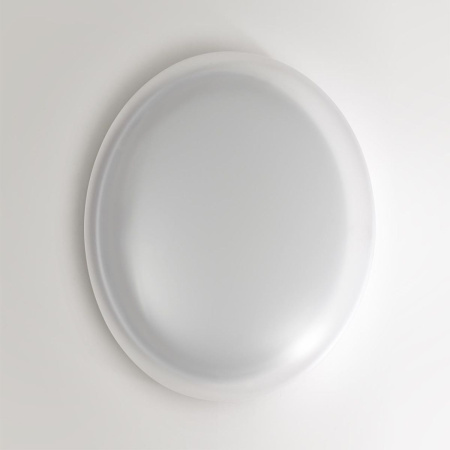 Настенно-потолочный светильник Sonex Pale Jolly 7776/DLN