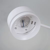 Потолочная люстра Reluce 20590-0.3-5+1 White