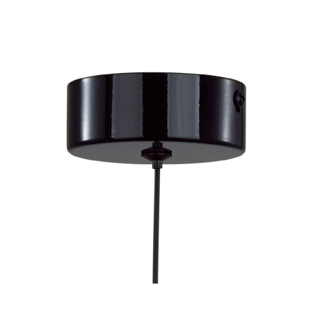 Подвесной светильник Lumion Globe 6568/6L