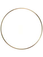 Потолочный светильник Zortes Monna ZRS.1209.12