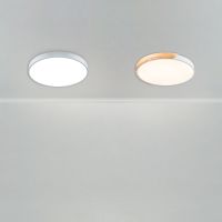 Потолочный светильник Freya Sprida FR6129CL-L80GR