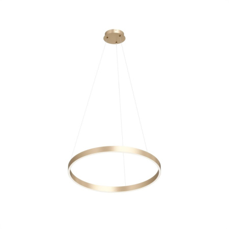 Подвесной светильник Denkirs Raydia DK6273-SG