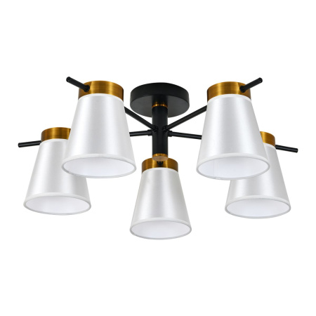 Потолочная люстра Escada Ambient ES0000055