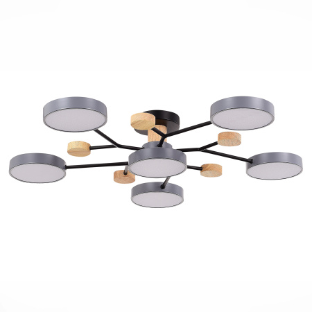 Люстра на штанге Evoluce Faema SLE6006-702-06