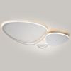 Настенно-потолочный светильник Escada Index 10289/3LED
