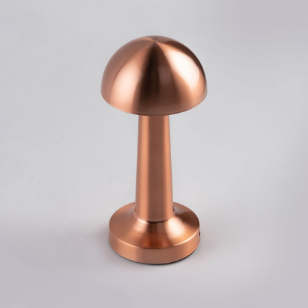 Настольная лампа Escada Evo 10257/L LED