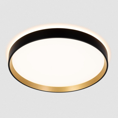 Потолочный светильник Citilux Etalon CL750321R