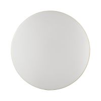 Настенно-потолочный светильник Sonex Smalli 3066/AL