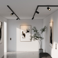 Трековый магнитный светильник Elektrostandard Slim Magnetic 4690389206511 85012/01 a067379